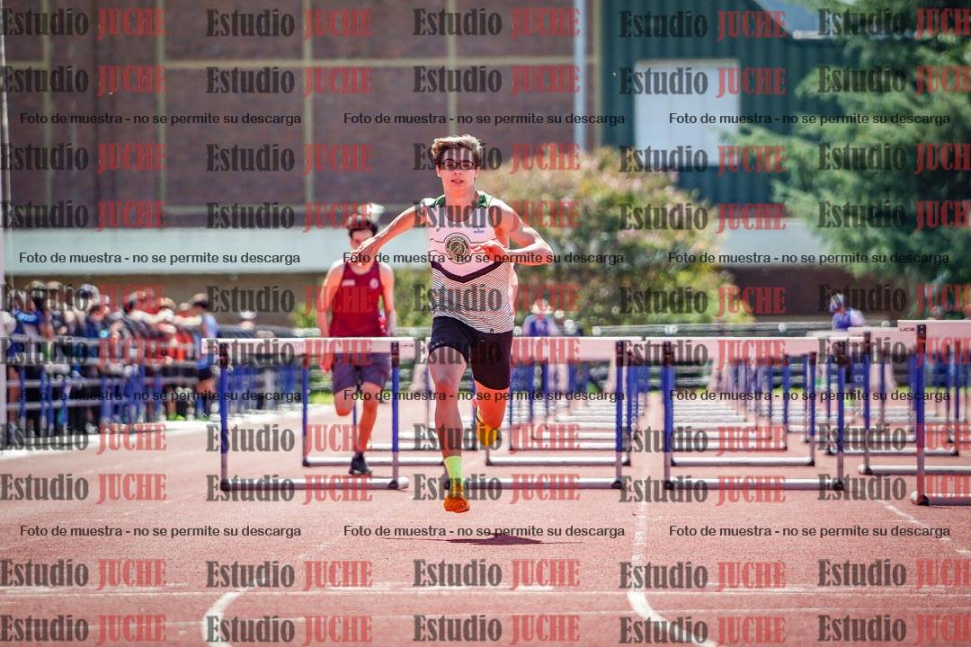Fotos de los 110 m con vallas de varones