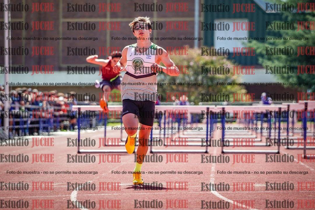 Fotos de los 110 m con vallas de varones