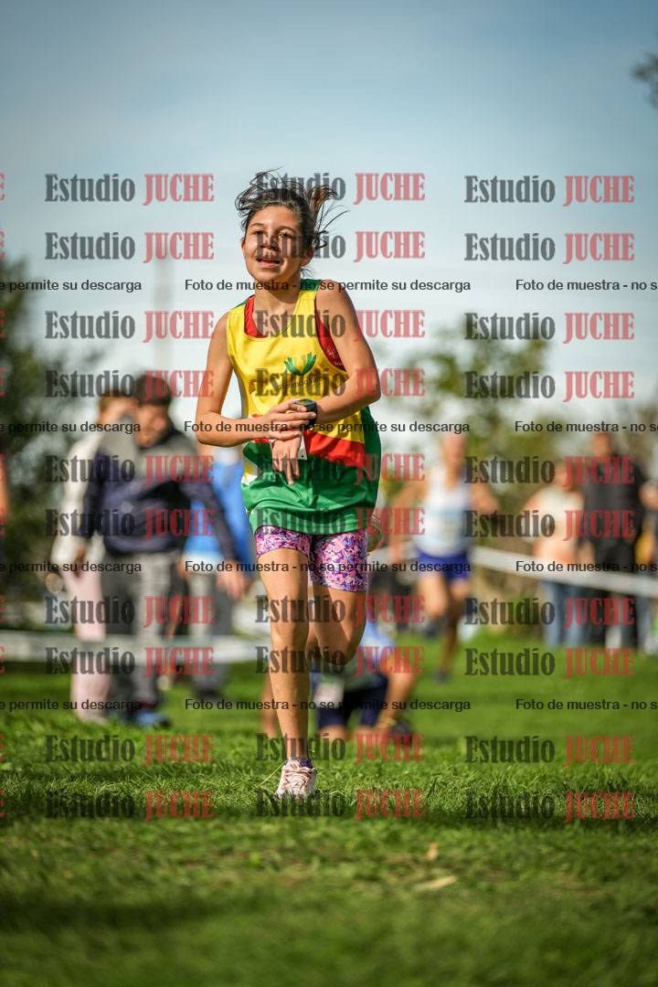 Fotos de la llegada del cross de 1500 m