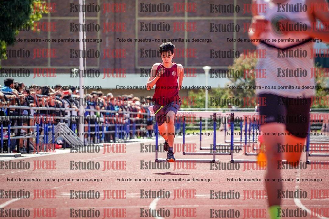 Fotos de los 110 m con vallas de varones