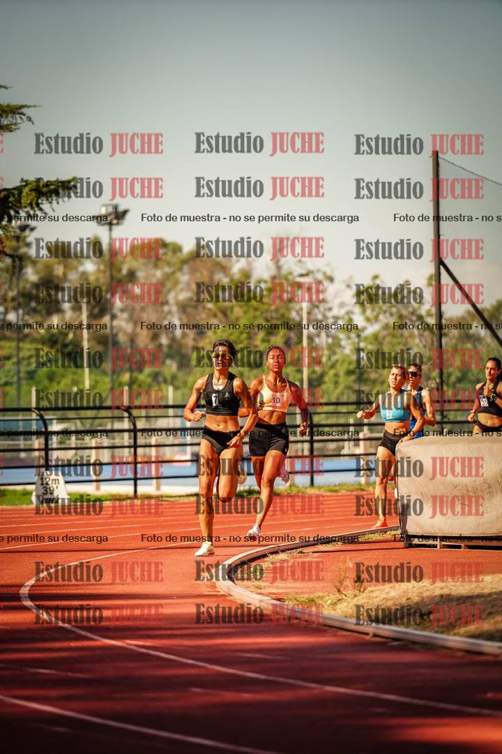 Fotos de los 800 m llanos de mujeres