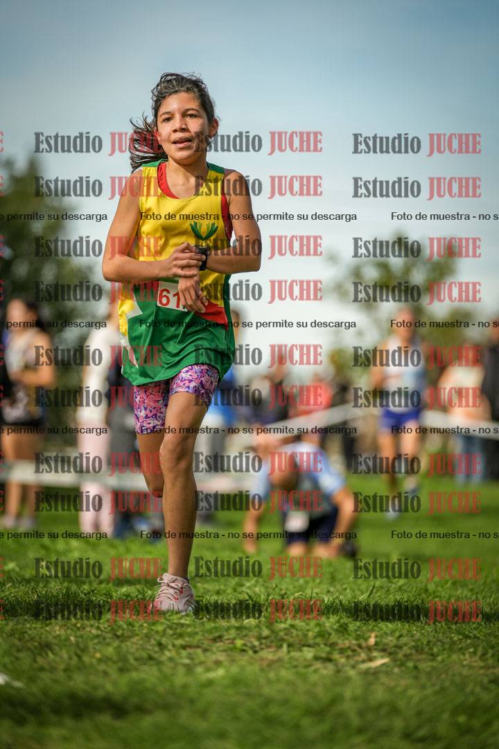 Fotos de la llegada del cross de 1500 m