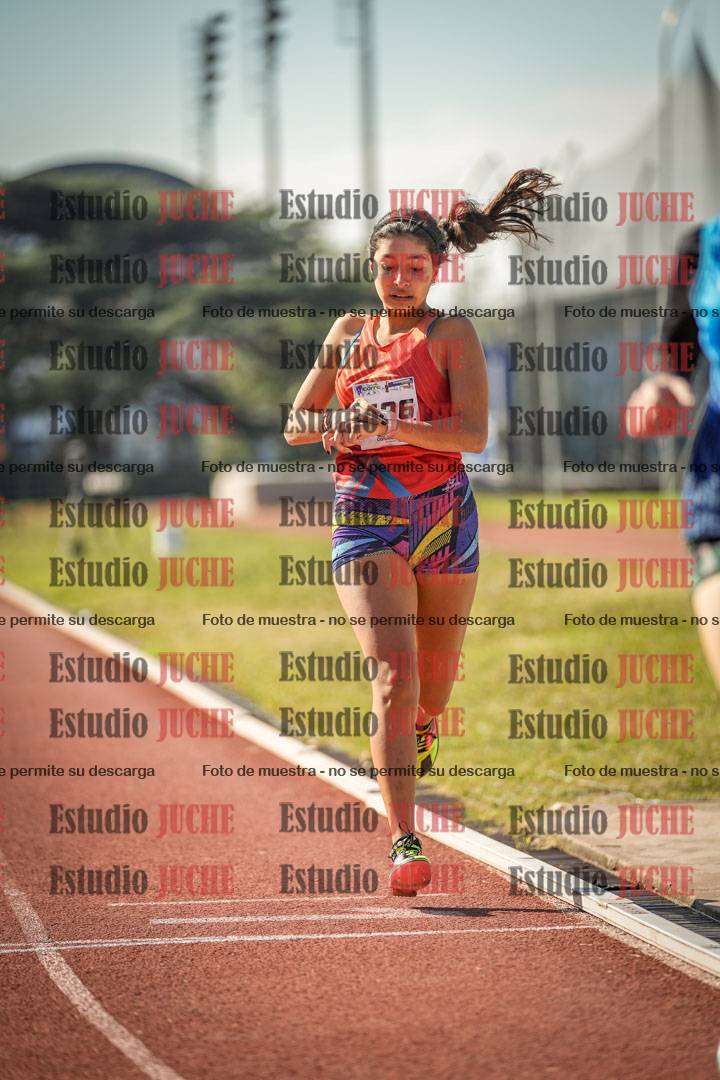 Fotos de los 800 m llanos de mujeres