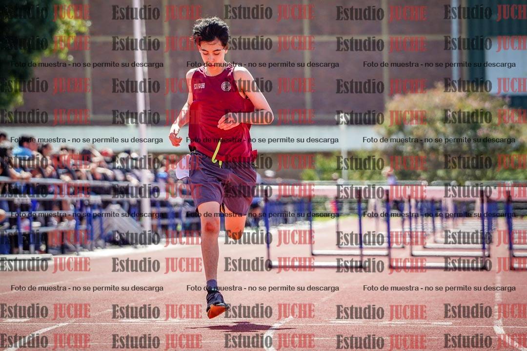 Fotos de los 110 m con vallas de varones