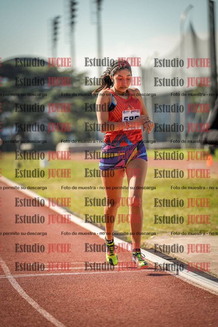 Fotos de los 800 m llanos de mujeres