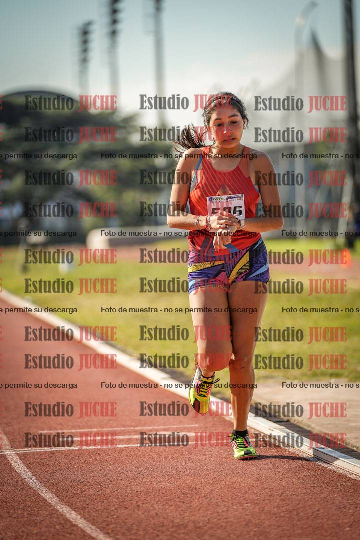 Fotos de los 800 m llanos de mujeres