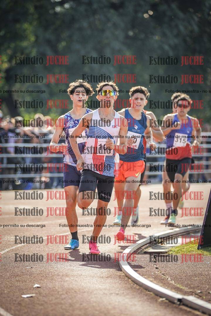 Fotos de los 800 m llanos de varones