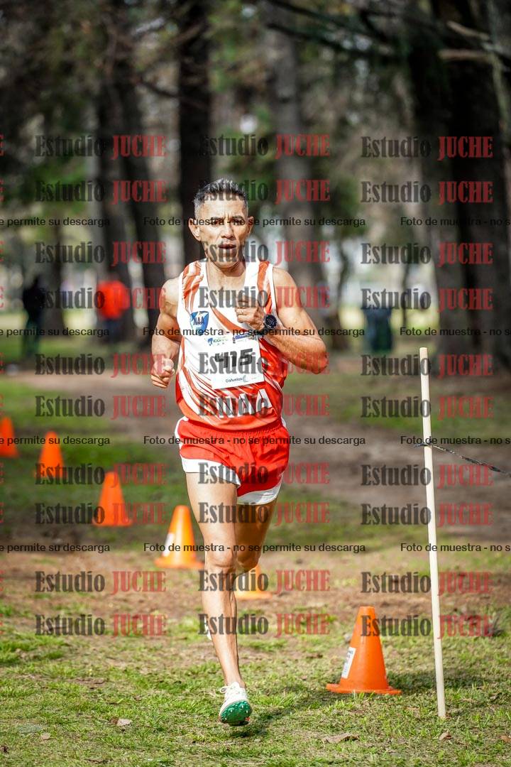 Fotos en el circuito