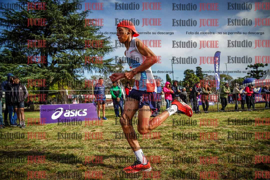 Fotos en el circuito