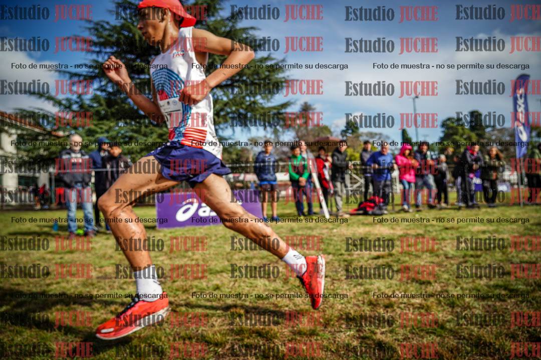 Fotos en el circuito