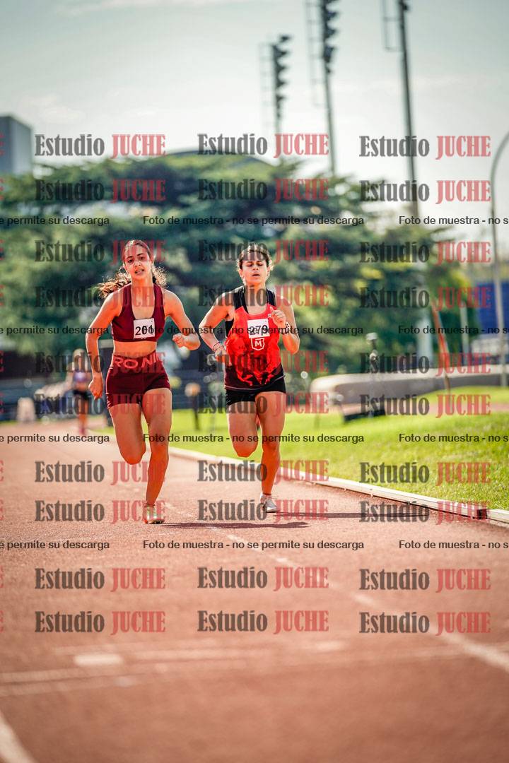 Fotos de los 800 m llanos de mujeres