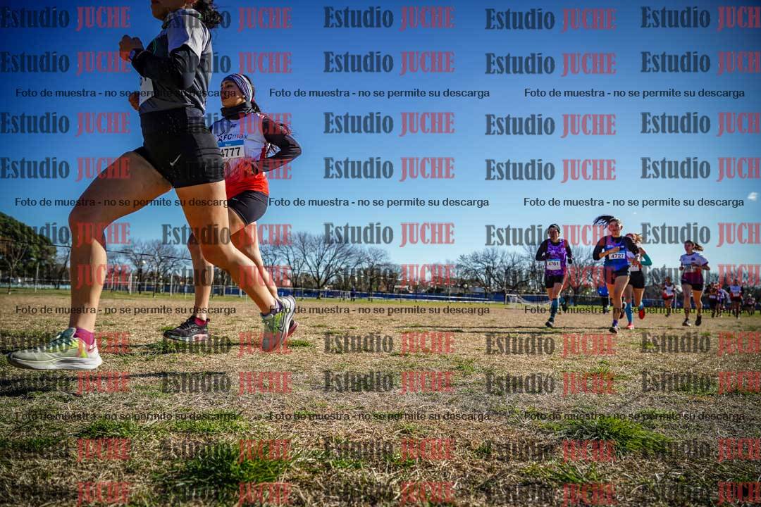 Fotos en el circuito