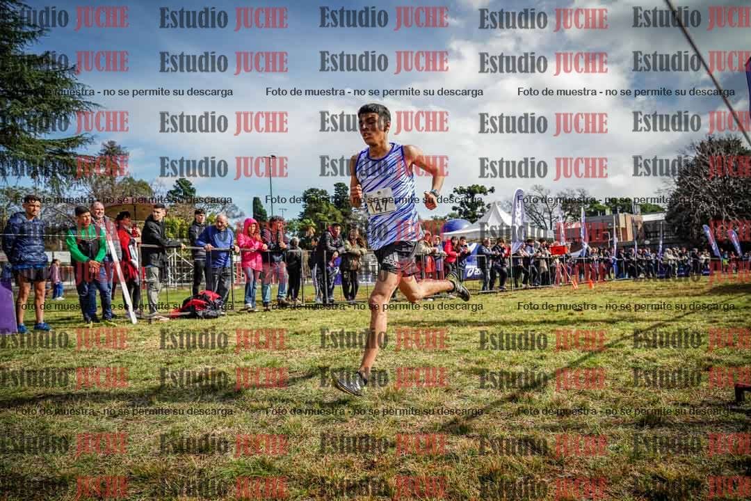 Fotos en el circuito