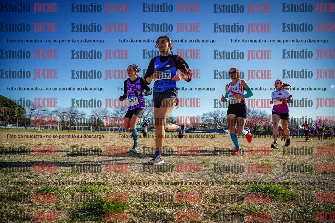 Fotos en el circuito