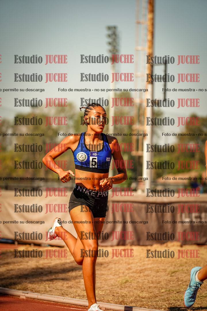 Fotos de los 800 m llanos de mujeres