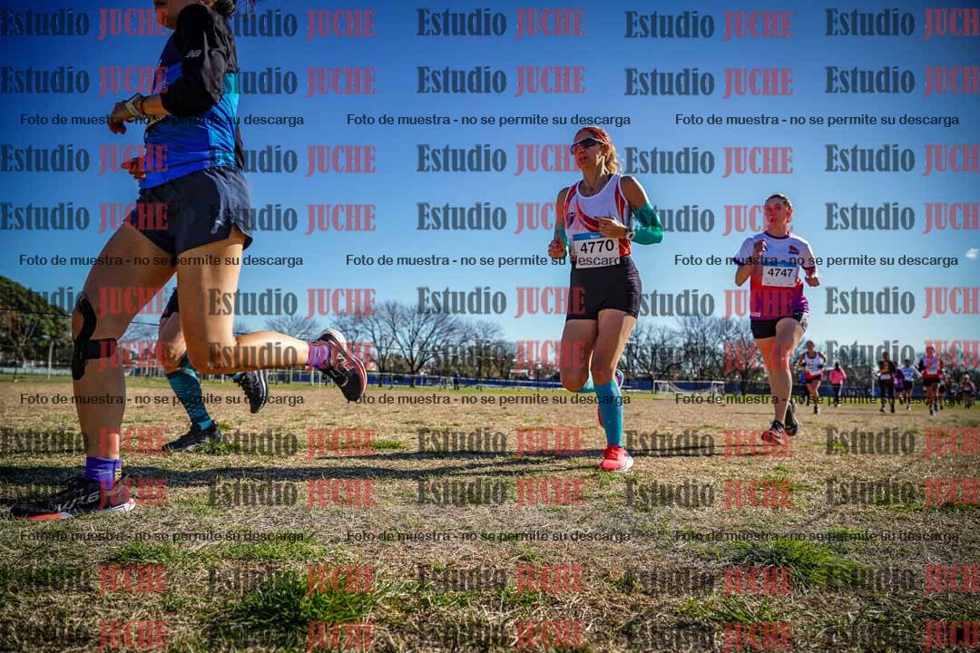 Fotos en el circuito