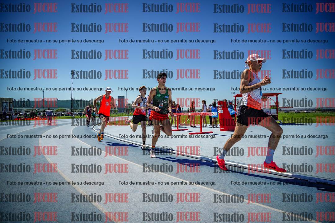 Fotos de los 800 m llanos de varones