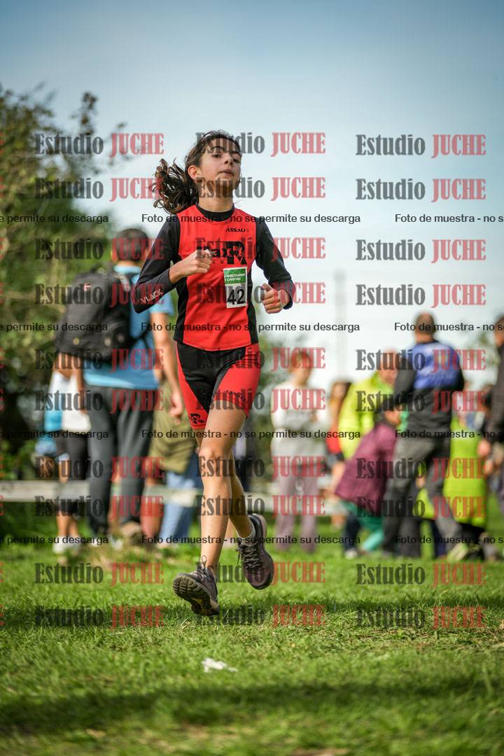 Fotos de la llegada del cross de 1500 m