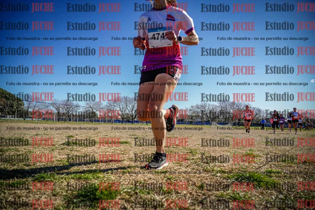 Fotos en el circuito