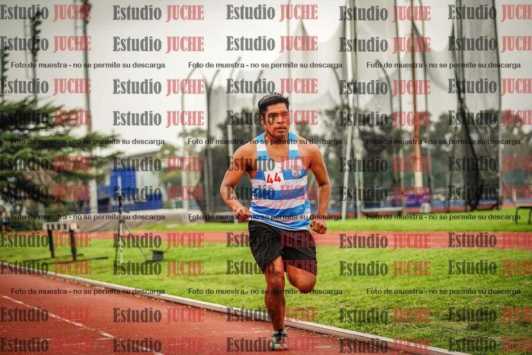 Fotos de los 800 m llanos de varones