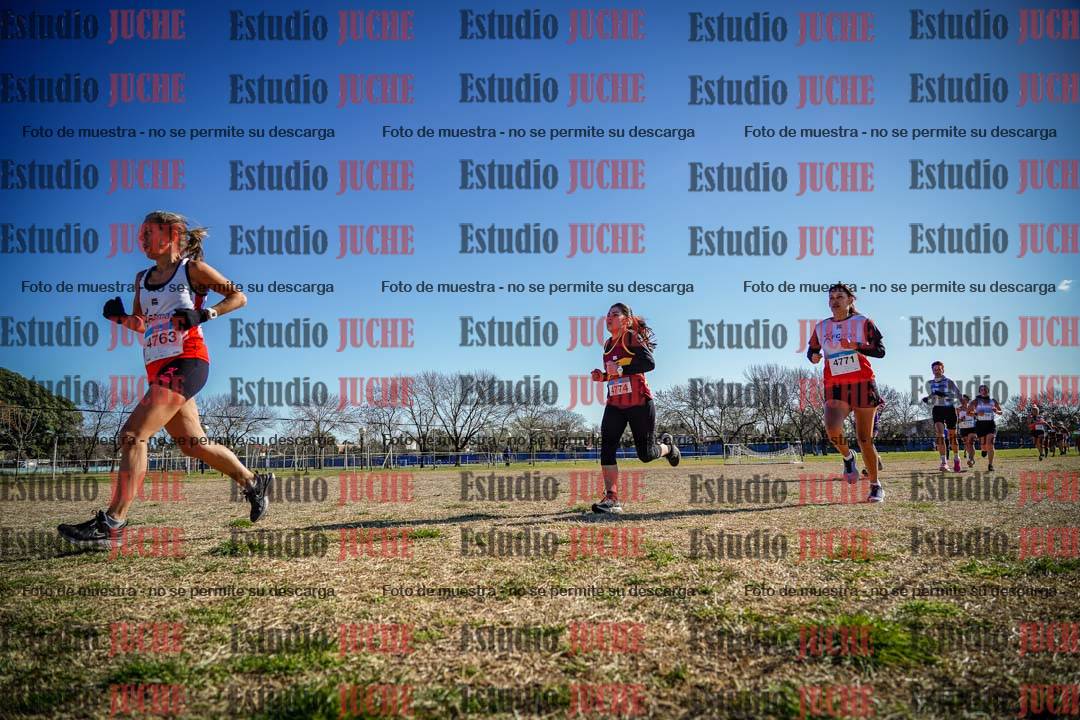 Fotos en el circuito