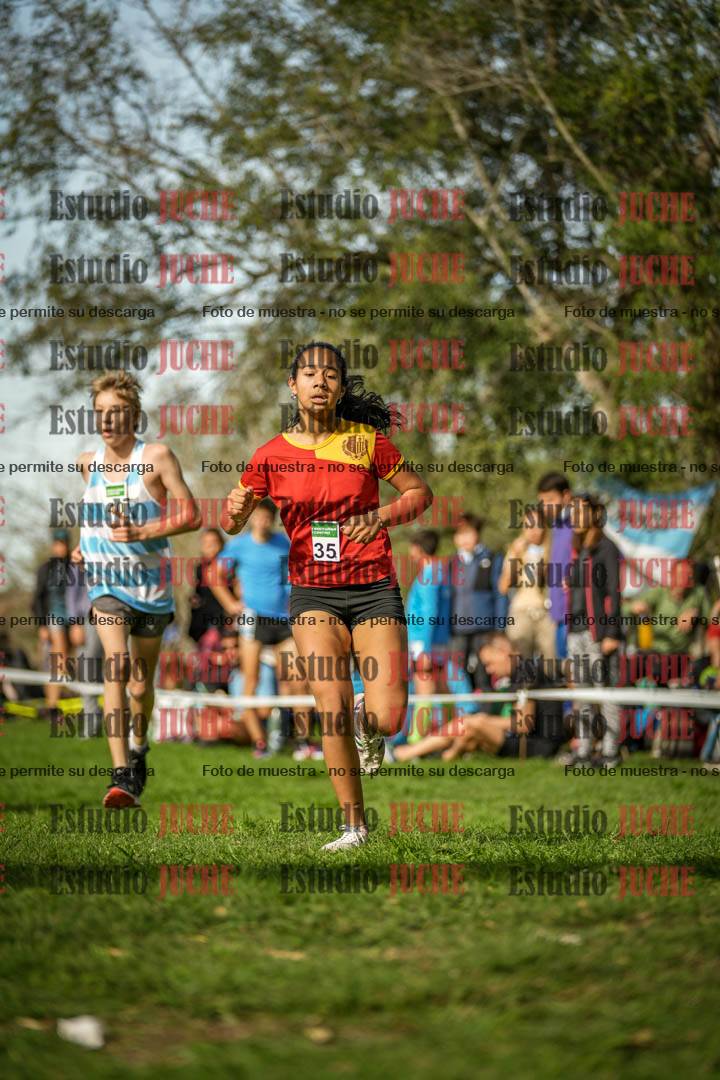Fotos de la llegada del cross de 1500 m