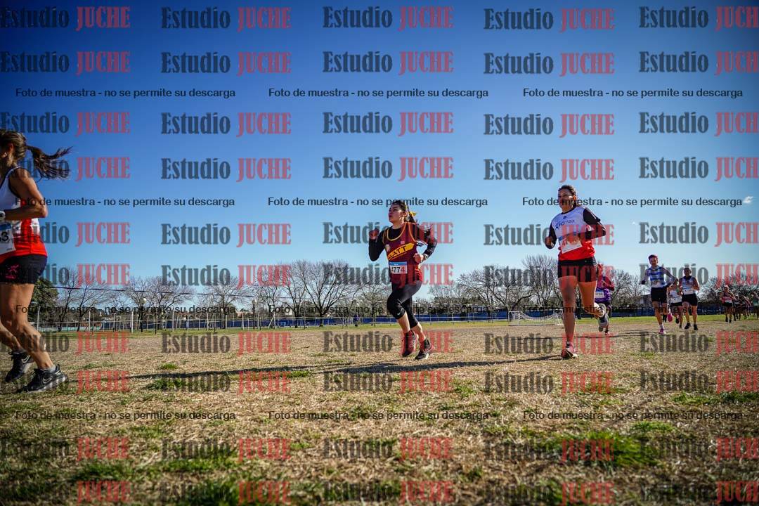 Fotos en el circuito