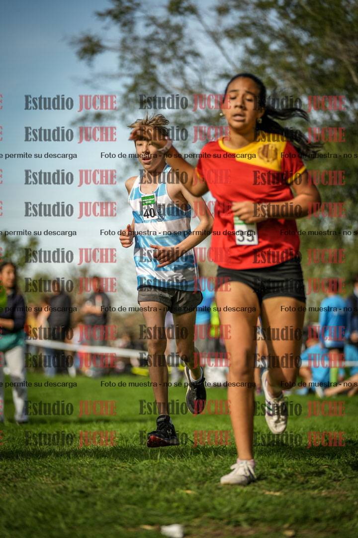 Fotos de la llegada del cross de 1500 m