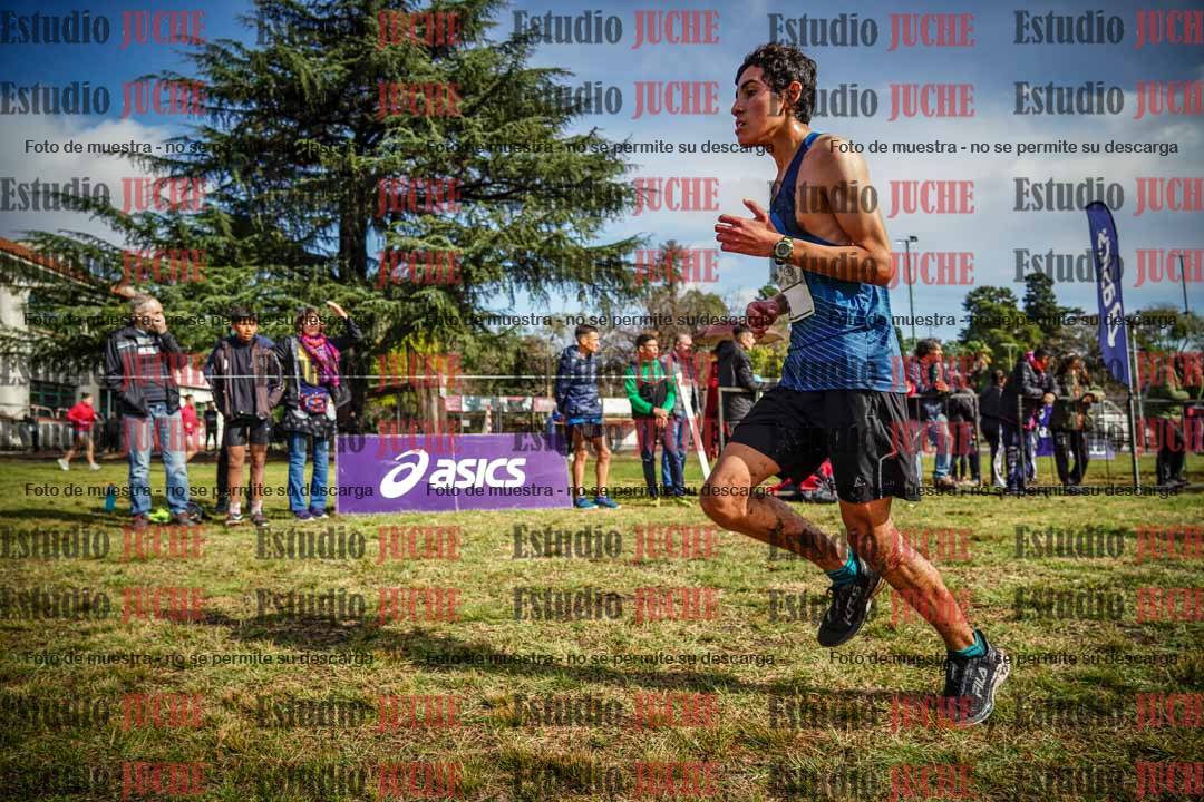Fotos en el circuito