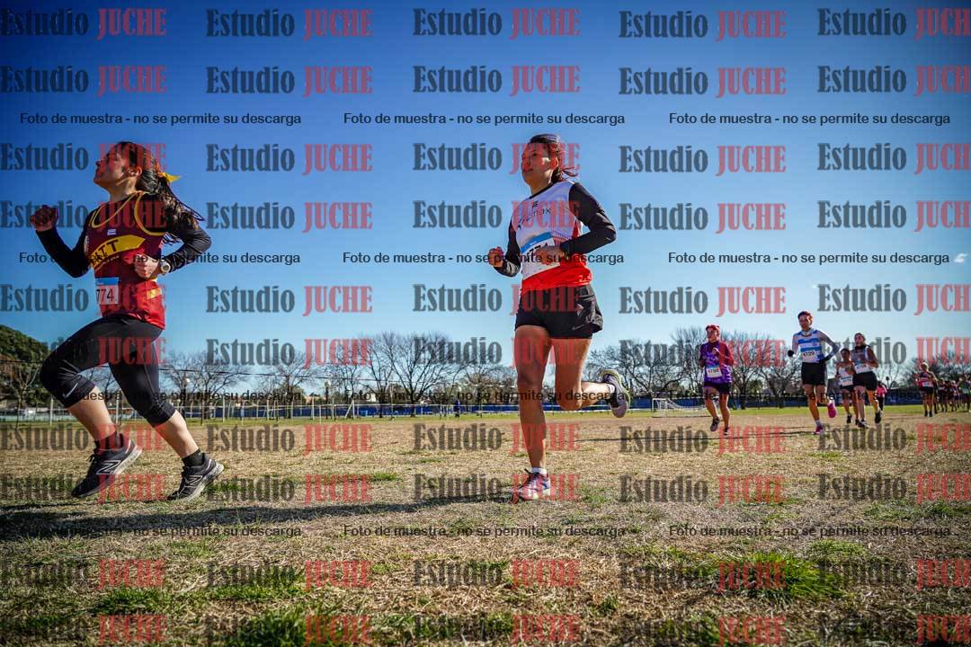 Fotos en el circuito