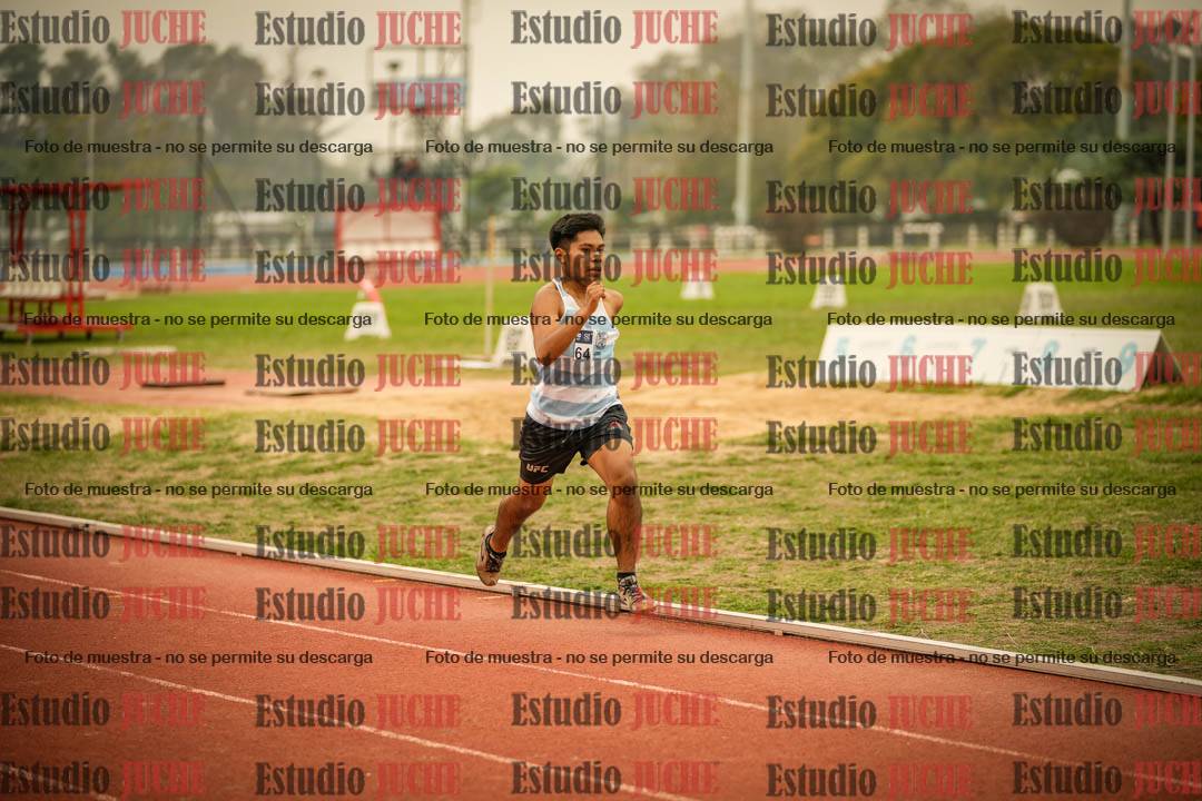 Fotos de los 800 m llanos de varones