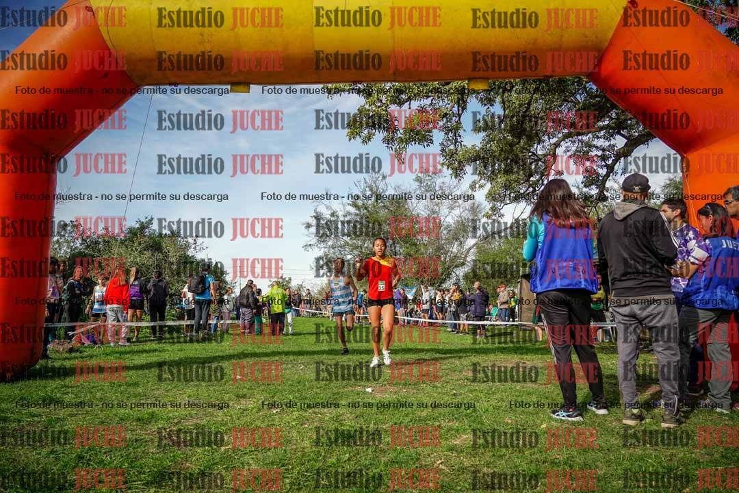 Fotos de la llegada del cross de 1500 m