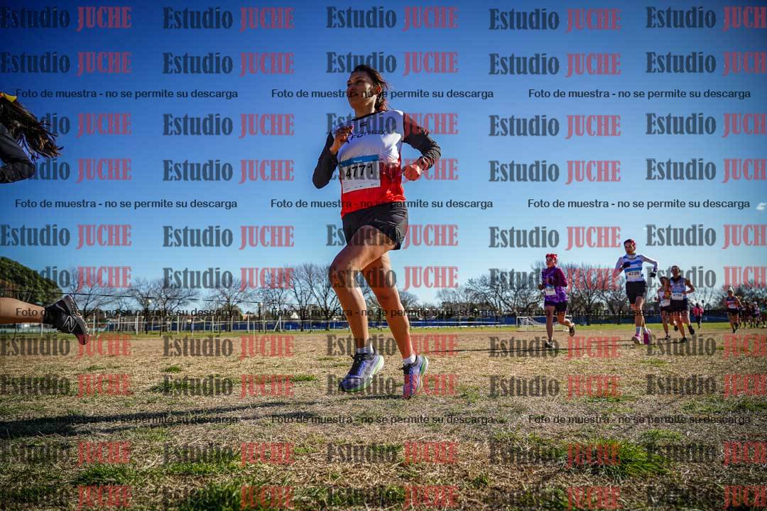 Fotos en el circuito