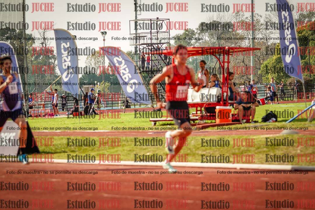 Fotos de los 800 m llanos de varones