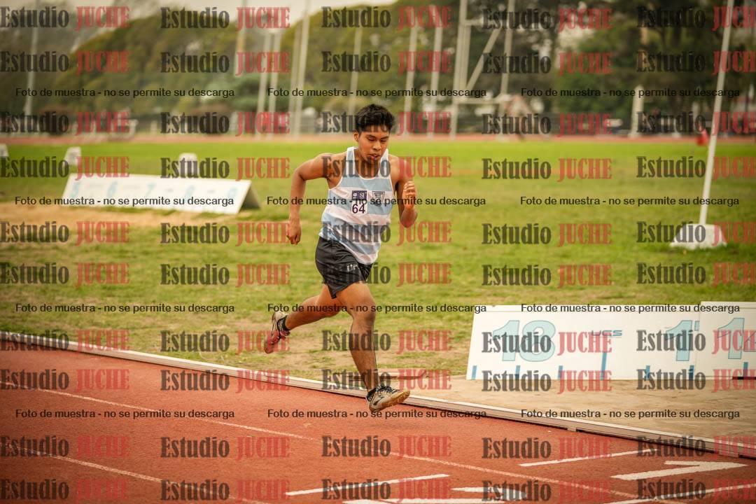 Fotos de los 800 m llanos de varones