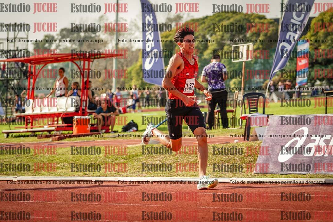 Fotos de los 800 m llanos de varones