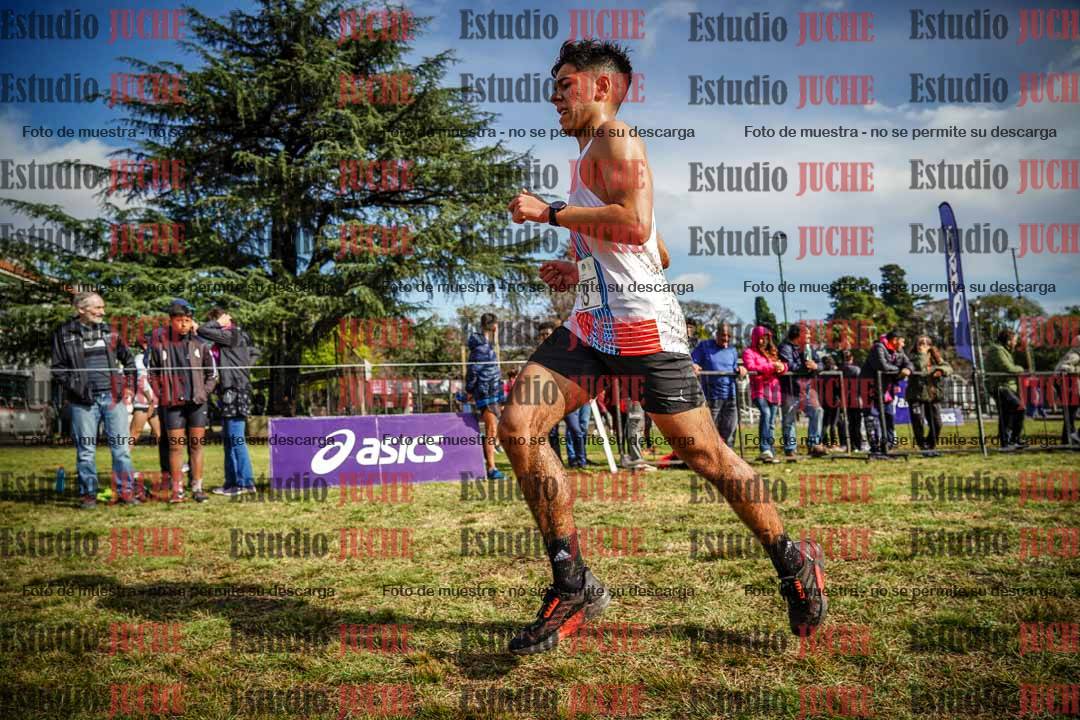 Fotos en el circuito