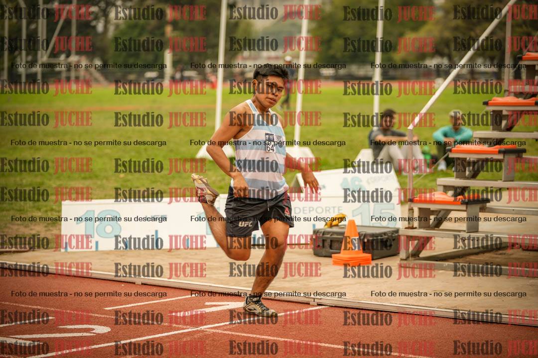 Fotos de los 800 m llanos de varones