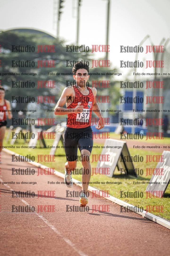 Fotos de los 800 m llanos de varones