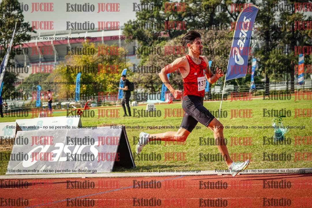 Fotos de los 800 m llanos de varones