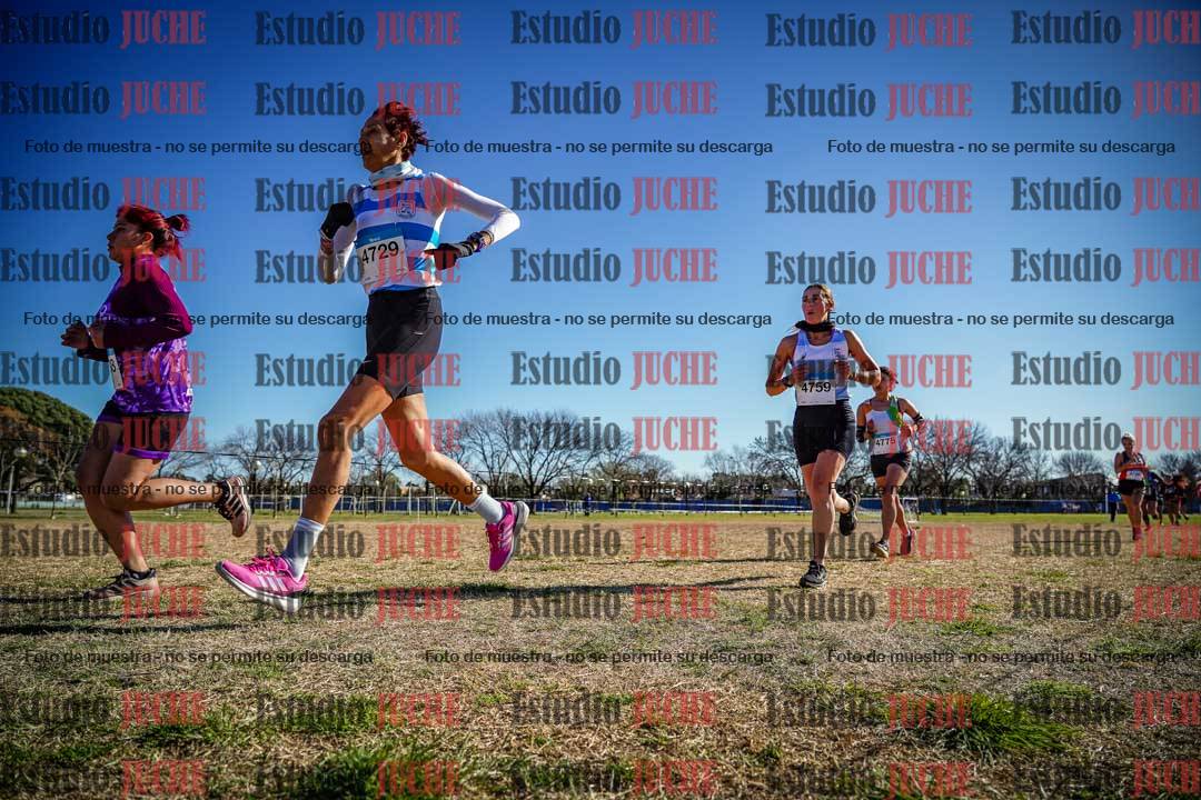Fotos en el circuito