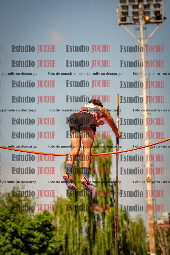 Fotos del salto con garrocha de mujeres y varones