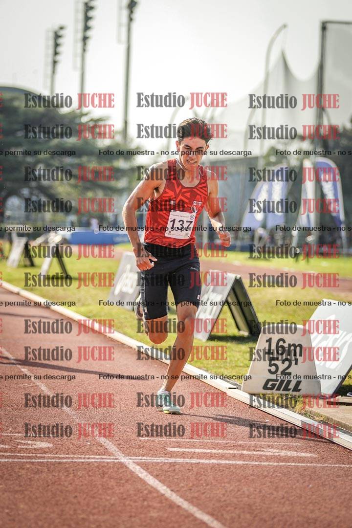 Fotos de los 800 m llanos de varones