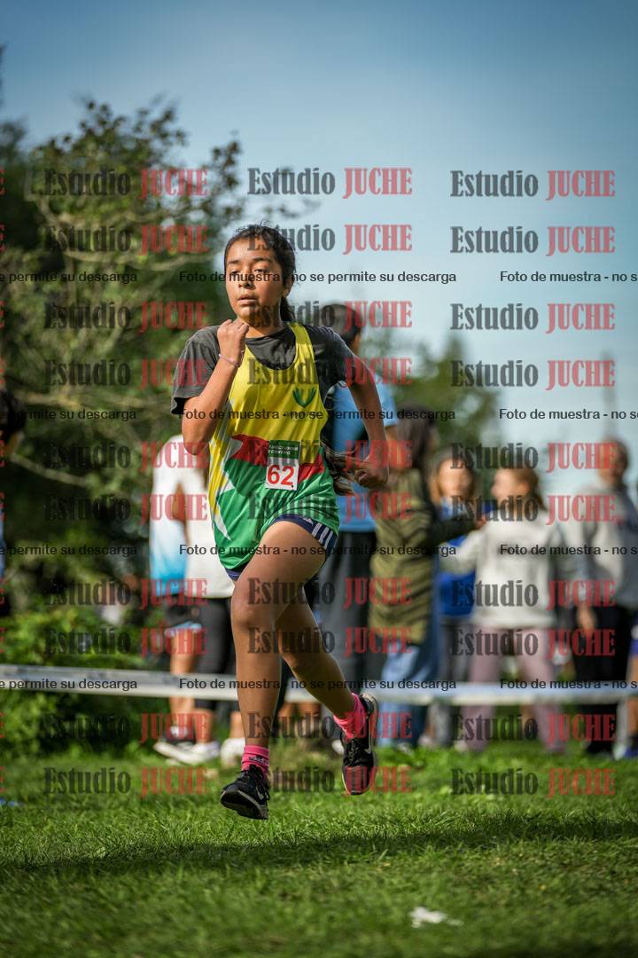 Fotos de la llegada del cross de 1500 m