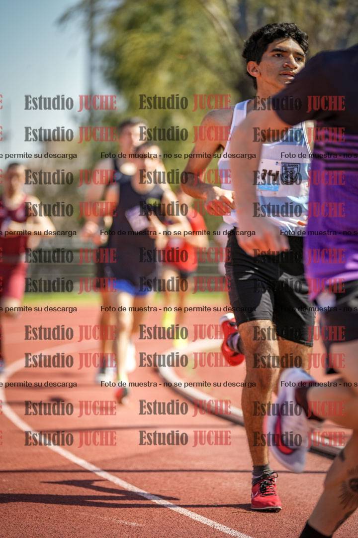 Fotos de los 1500 m llanos de varones