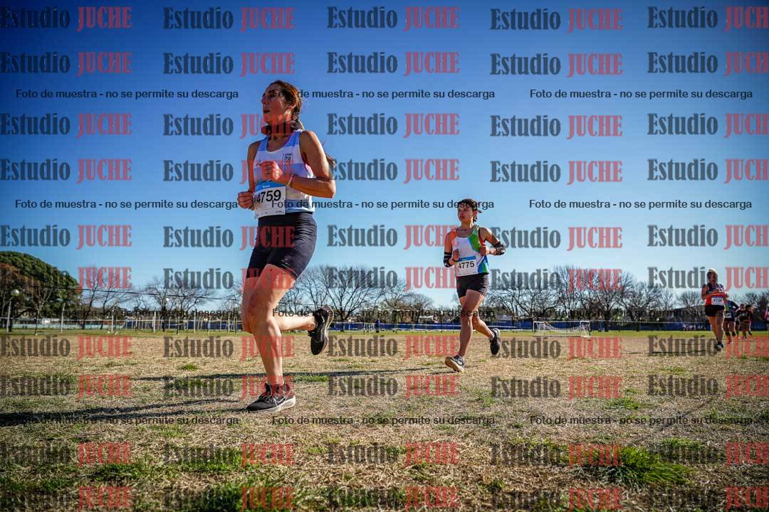 Fotos en el circuito