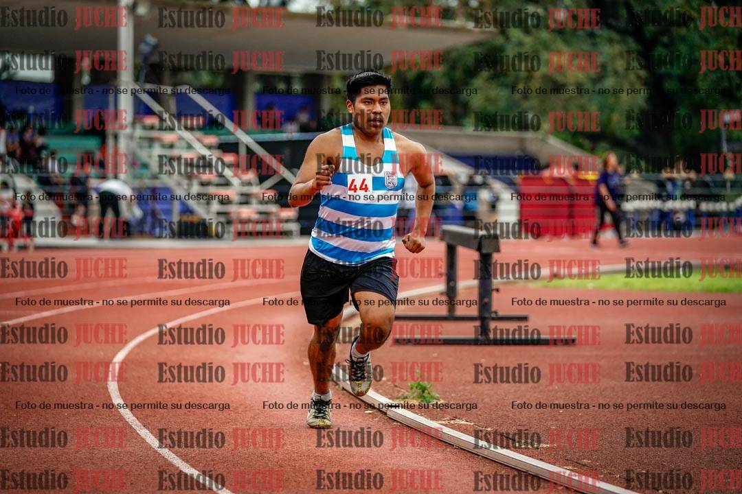 Fotos de los 800 m llanos de varones