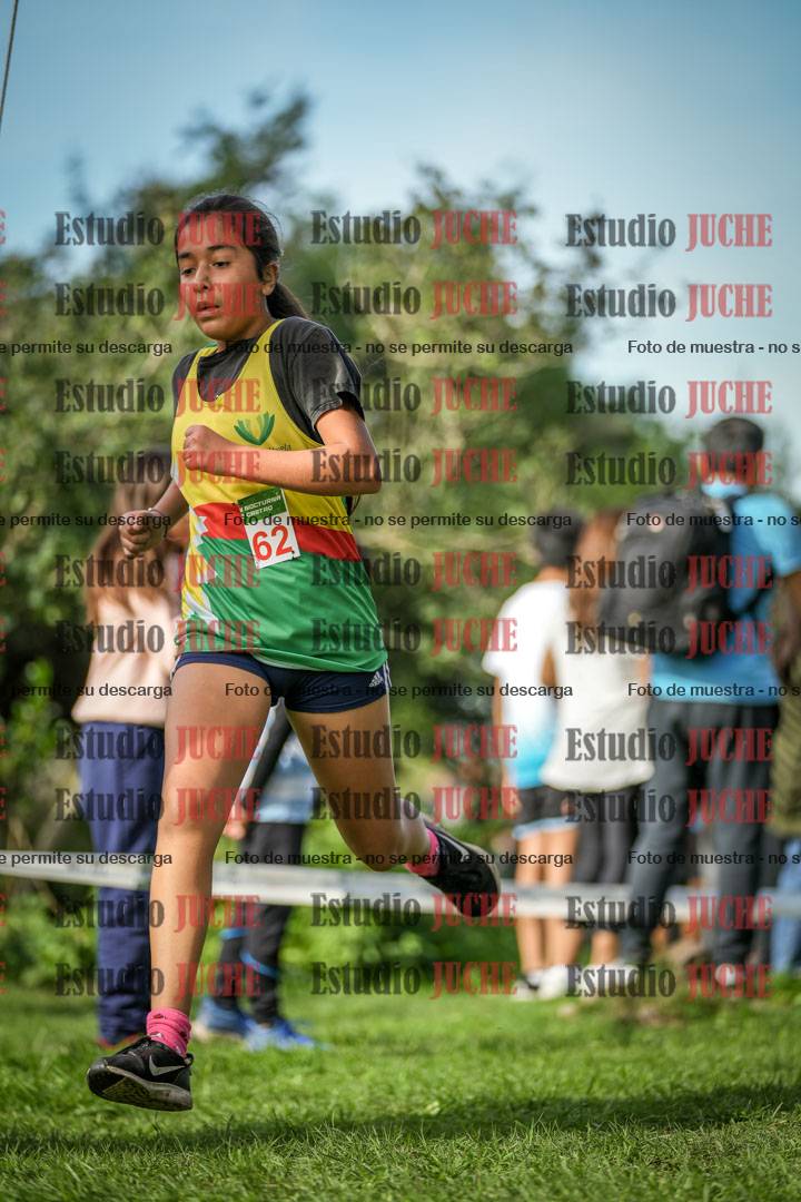 Fotos de la llegada del cross de 1500 m