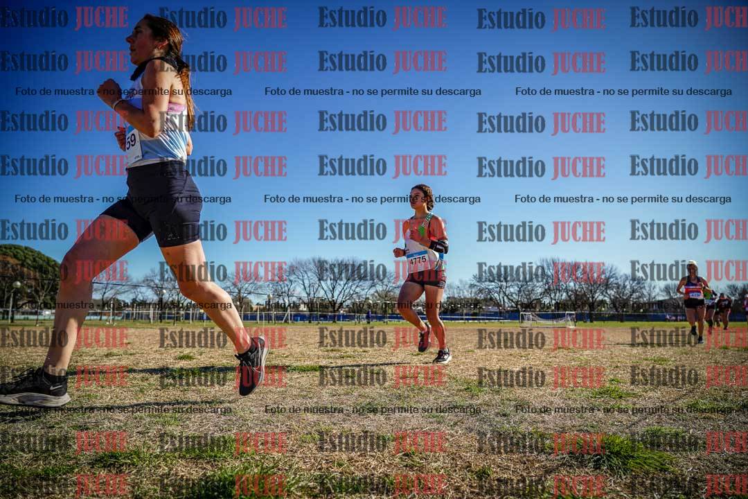 Fotos en el circuito