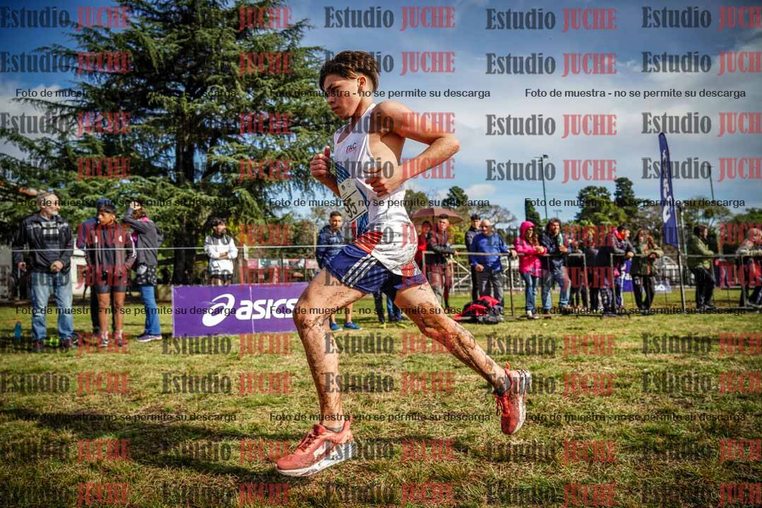 Fotos en el circuito